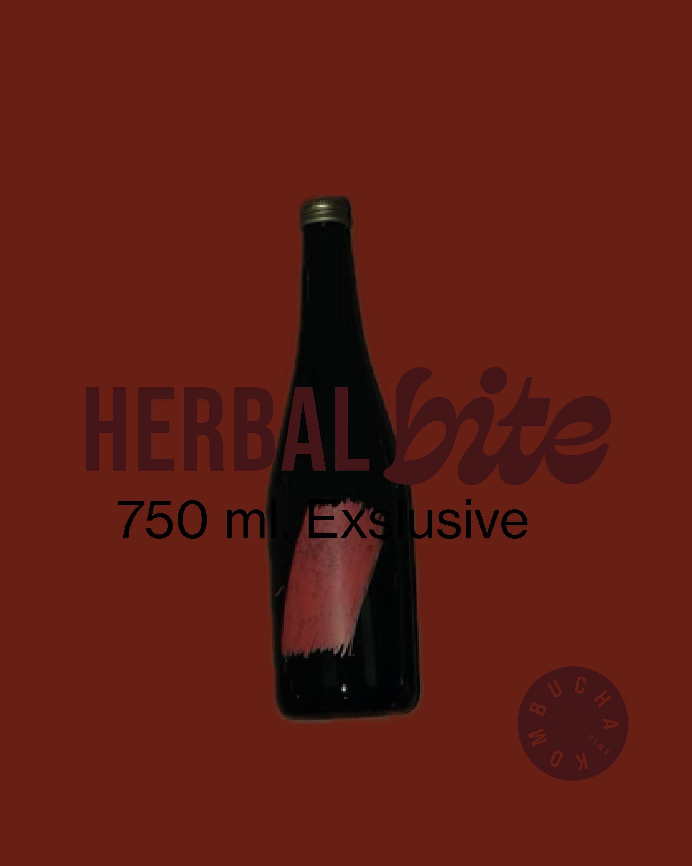 Kombucha Time X Bite