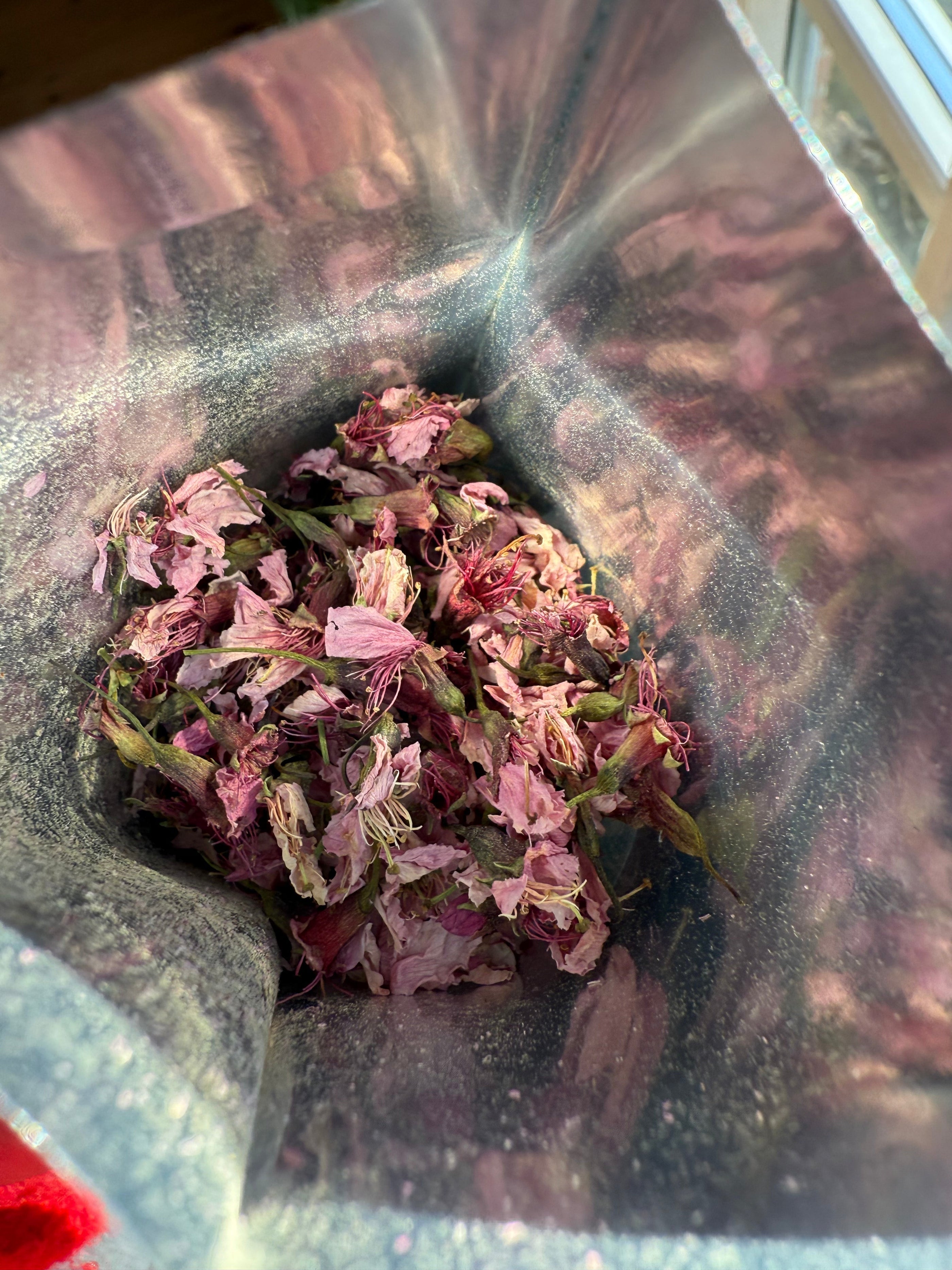 Kombucha, fermentering, og smag