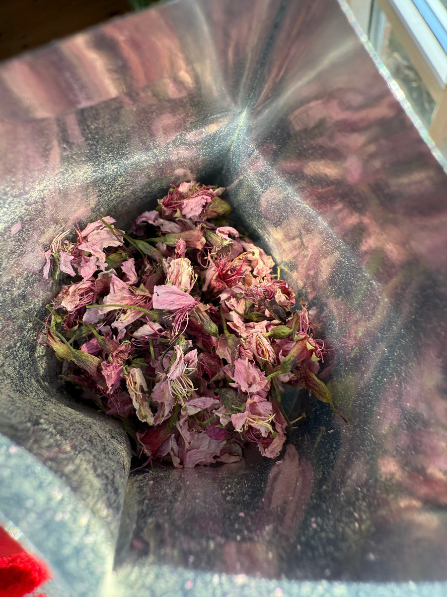 Kombucha, fermentering, og smag