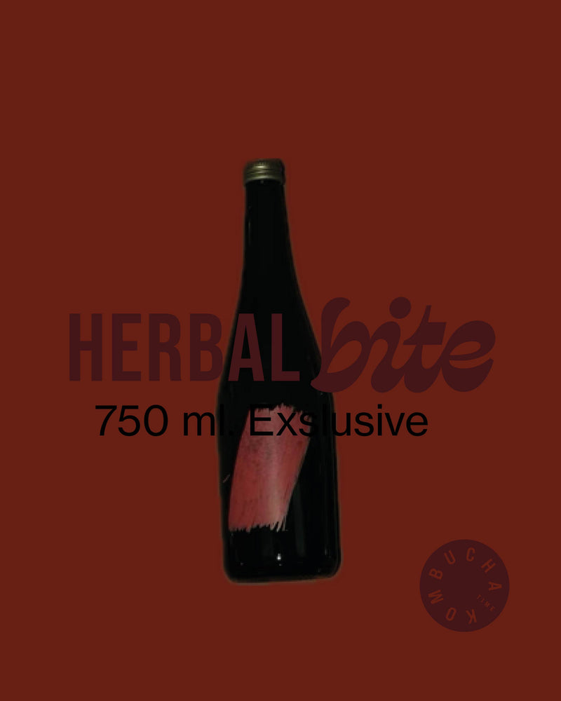 Kombucha Time X Bite