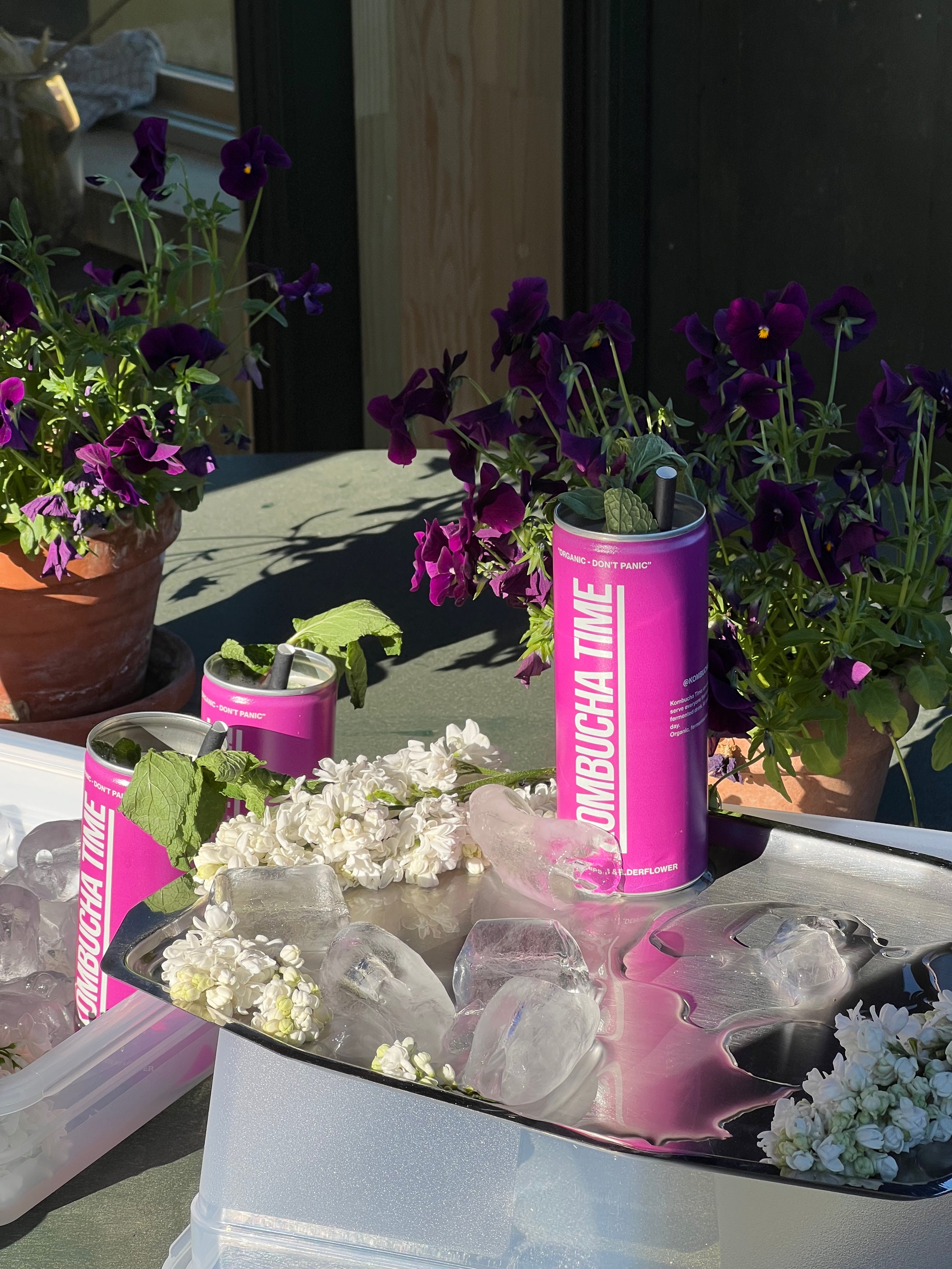 Kombucha Time No. 1 / 24 stk