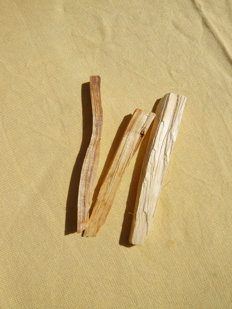 Palo Santo – helligt røgelse træ fra Ecuador